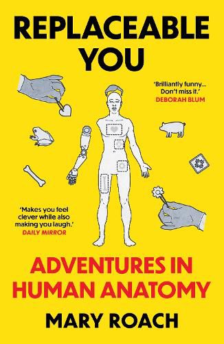 Cover image for Replaceable You