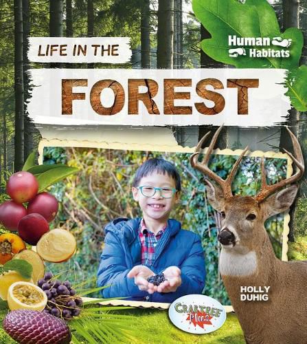 Cover image for Life in the Forest