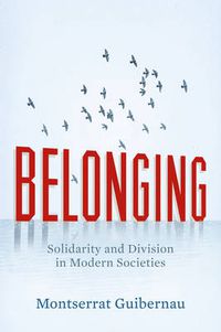 Cover image for Belonging: Solidarity and Division in Modern Societies