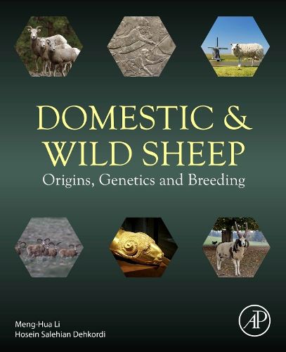 Cover image for Domestic and Wild Sheep
