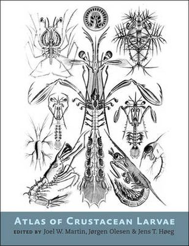 Cover image for Atlas of Crustacean Larvae