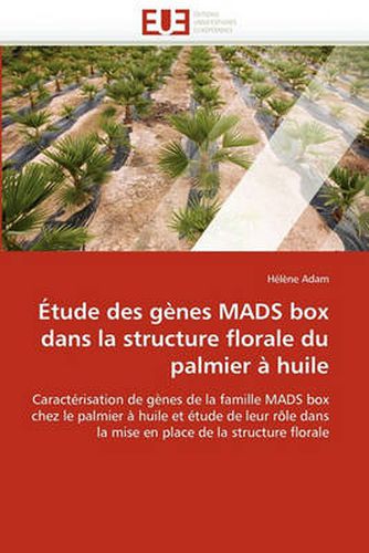 Cover image for Etude Des Genes Mads Box Dans La Structure Florale Du Palmier a Huile