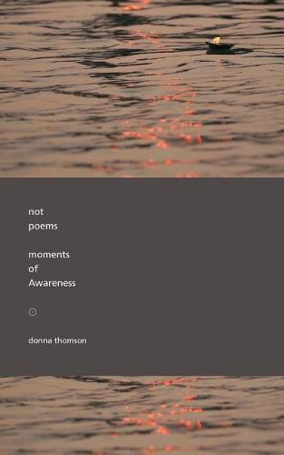 Cover image for Not Poems: Moments of Awareness