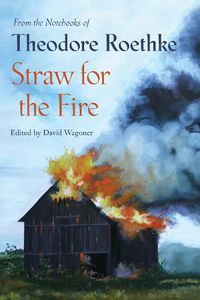 Cover image for Straw for the Fire: From the Notebooks of Theodore Roethke