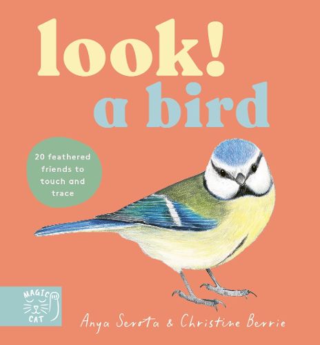 Cover image for Look! A Bird!