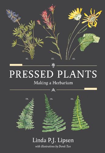 Cover image for Pressed Plants: Making a Herbarium