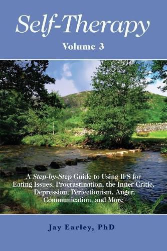 Cover image for Self-Therapy, Vol. 3: A Step-by-Step Guide to Using IFS for Eating Issues, Procrastination, the Inner Critic, Depression, Perfectionism, Anger, Communication, and More