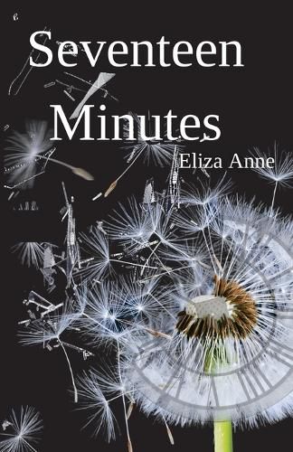 Cover image for Seventeen Minutes