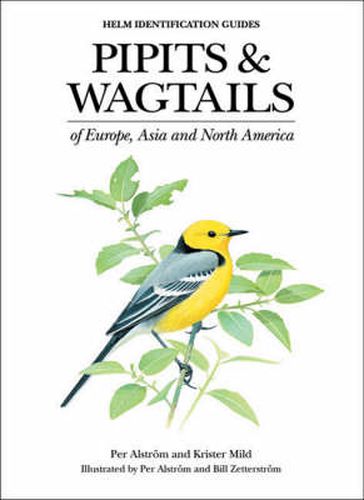 Cover image for Pipits and Wagtails of Europe, Asia and North America