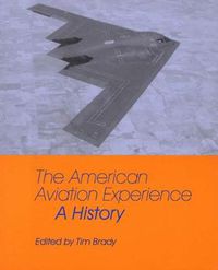 Cover image for The American Aviation Experience: A History