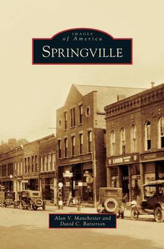 Cover image for Springville