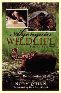 Cover image for Algonquin Wildlife: Lessons in Survival