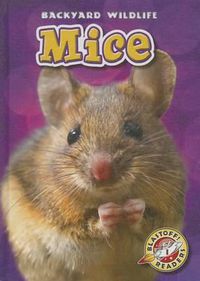 Cover image for Mice