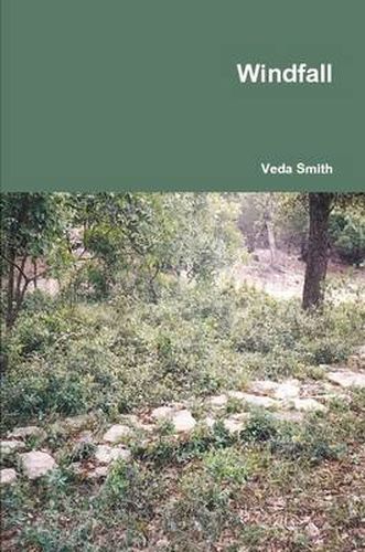 Cover image for Windfall