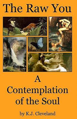 Cover image for The Raw You: A Contemplation of the Soul