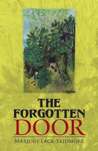 Cover image for The Forgotten Door