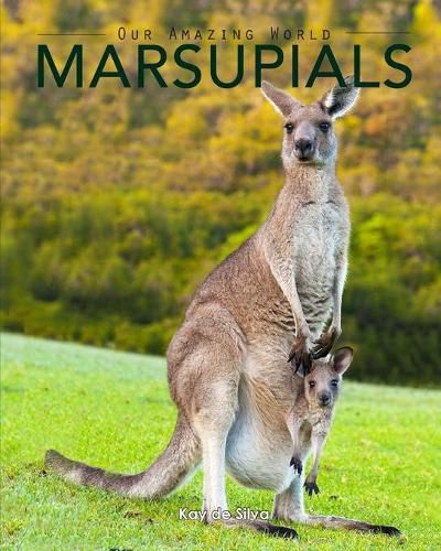 Cover image for Marsupials: Amazing Pictures & Fun Facts of Animals in Nature