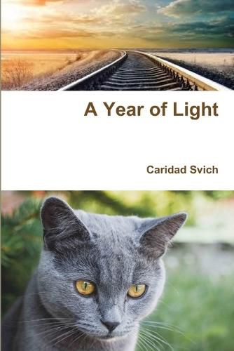 A Year of Light