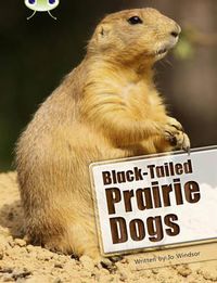 Cover image for Bug Club Independent Non Fiction Year Two White B Black-tailed Prairie Dogs