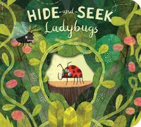 Cover image for Hide-and-Seek Ladybugs