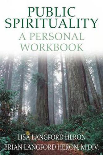 Cover image for Public Spirituality: A Personal Workbook