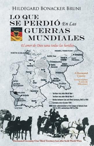 Cover image for Lo Que Se Perdio En Las Guerras Mundiales