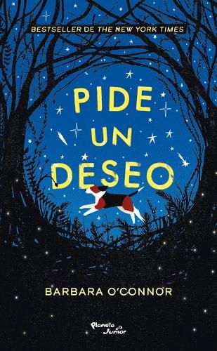 Cover image for Pide Un Deseo / Wish