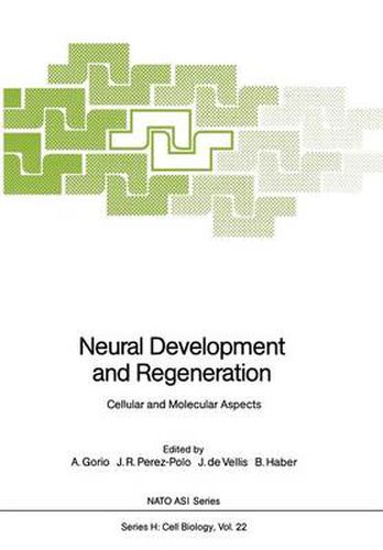 Cover image for Neural Development and Regeneration: Cellular and Molecular Aspects