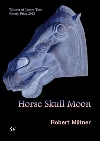 Cover image for Horse Skull Moon