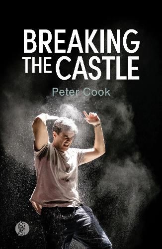 Cover image for Breaking the Castle