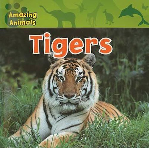 Cover image for Tigers