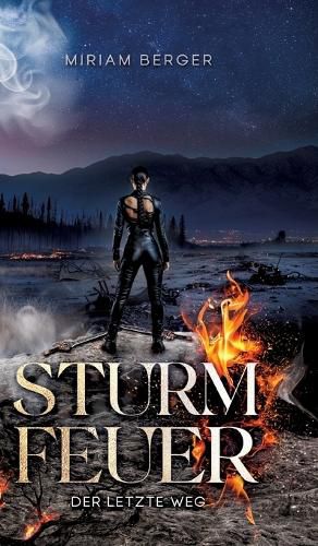 Cover image for Sturmfeuer