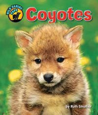 Cover image for Coyotes