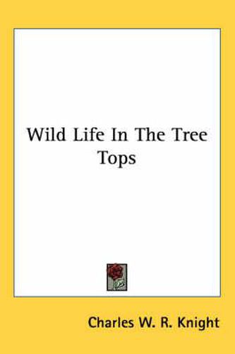 Wild Life in the Tree Tops