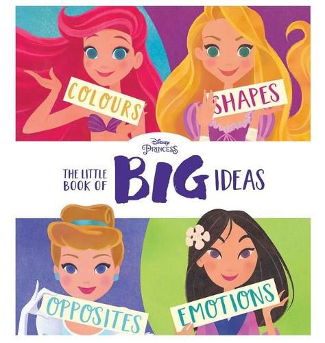 Cover image for The Little Book of Big Ideas (Disney Princess)