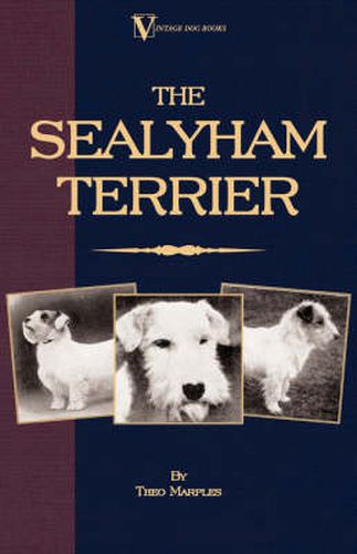 Cover image for The Sealyham Terrier - His Origin, History, Show Points and Uses As A Sporting Dog - How to Breed, Select, Rear, And Prepare For Exhibition