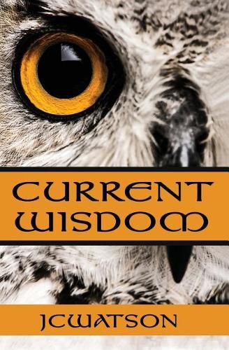 Cover image for Current Wisdom