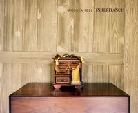 Cover image for Andrea Tese:Inheritance: Inheritance