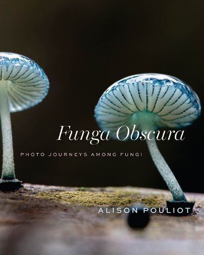 Cover image for Funga Obscura