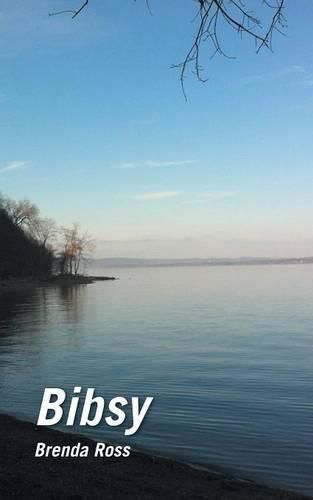 Cover image for Bibsy