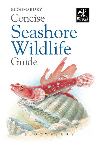 Cover image for Concise Seashore Wildlife Guide