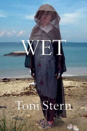 Cover image for Wet