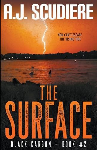 Cover image for The Surface