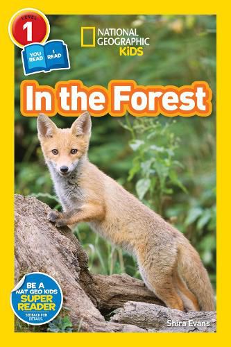 Cover image for National Geographic Kids Readers: In the Forest