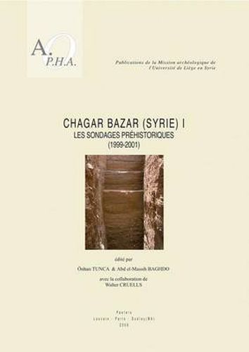 Cover image for Chagar Bazar (Syrie) I: Les Sondages Prehistoriques (1999-2001)