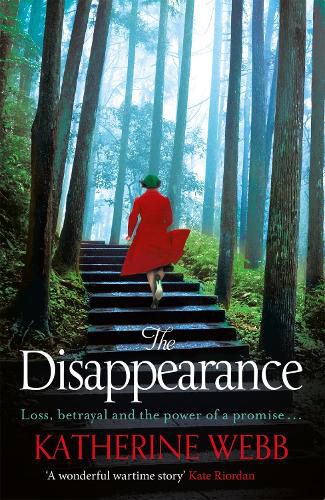 Cover image for The Disappearance