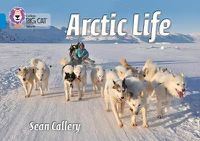 Cover image for Arctic Life: Band 04/Blue