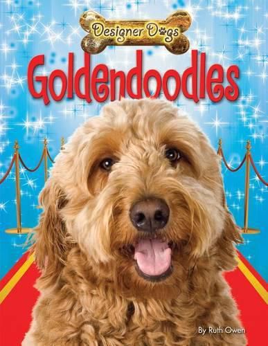 Cover image for Goldendoodles