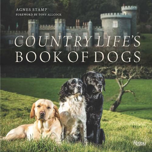 Cover image for Country Life's Book of Dogs