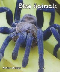 Cover image for Blue Animals